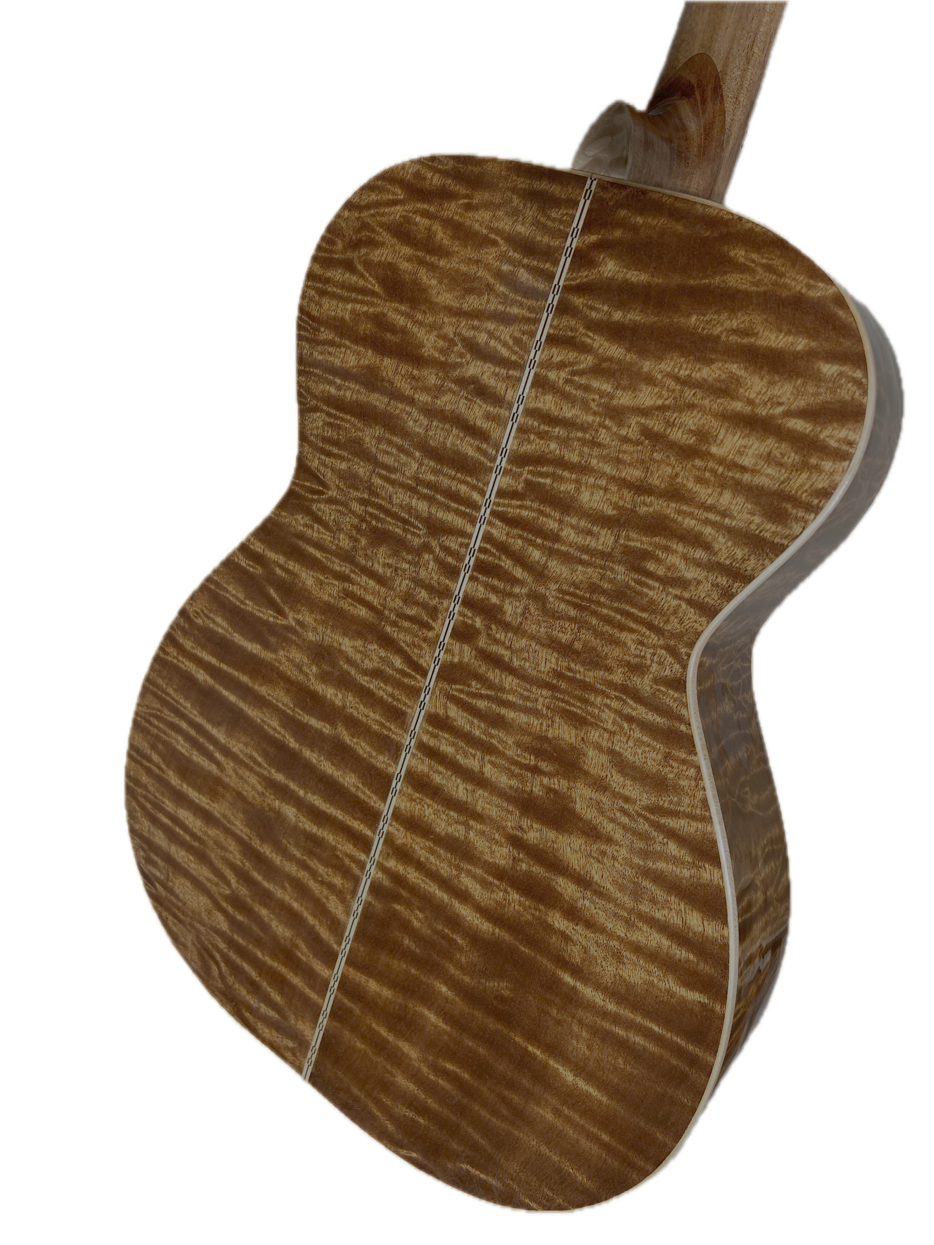 Signature acoustic guitar top in open case