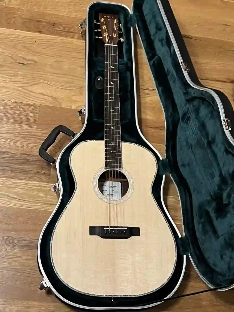 Acoustic guitar back in open case